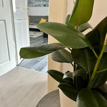 Апартаменты Tina *